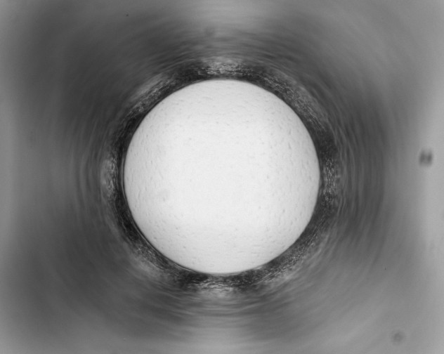 X0000103400648200810031225