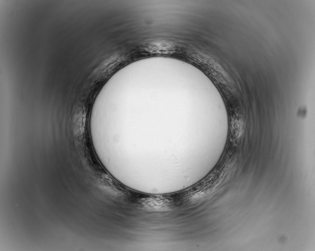 X0000103400652200810031225