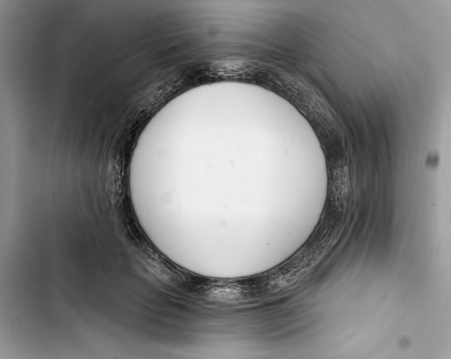 X0000103400653200810031225