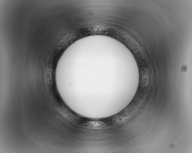 X0000103400654200810031225