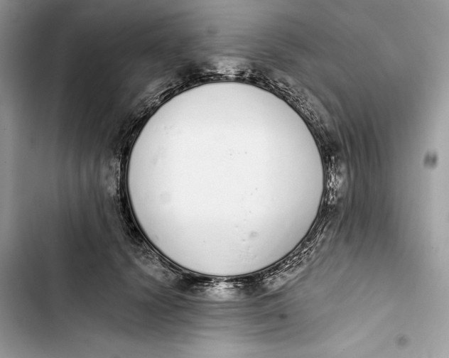 X0000103400656200810031225