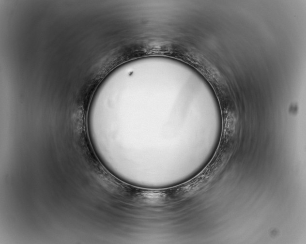 X0000103400659200810031225