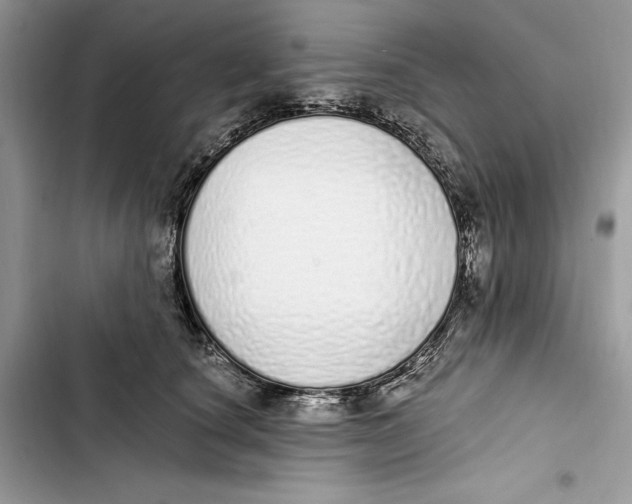 X0000103400660200810031225