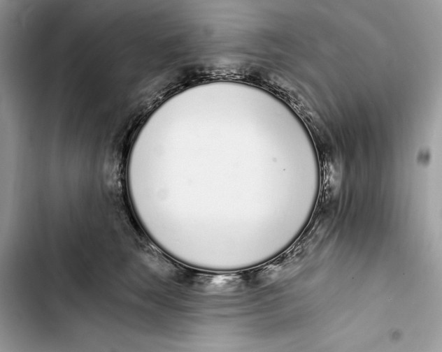 X0000103400663200810031225