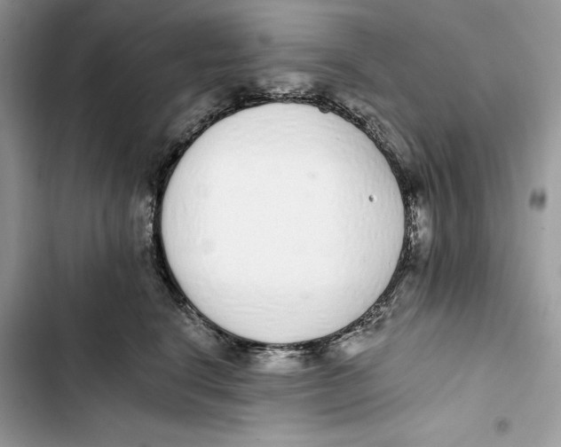 X0000103400664200810031225