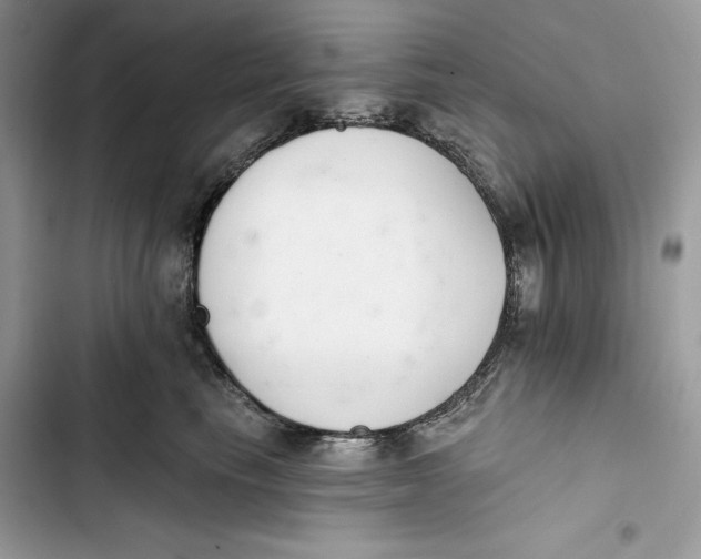 X0000103400665200810031226