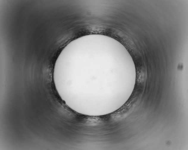 X0000103400666200810031226