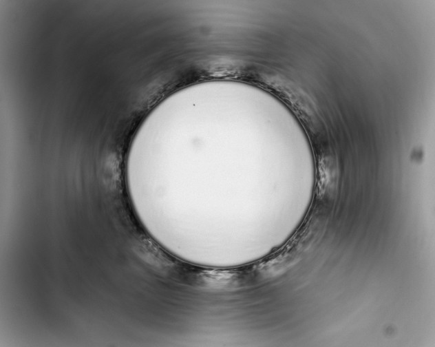 X0000103400667200810031226