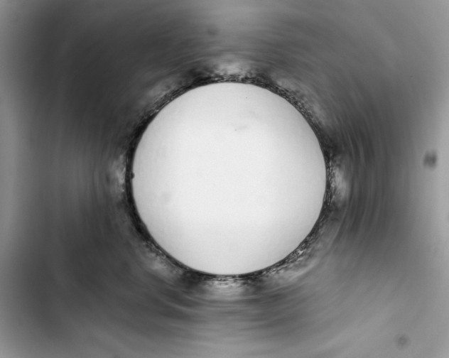 X0000103400668200810031226