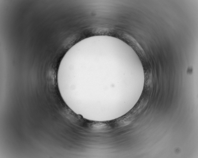 X0000103400669200810031226