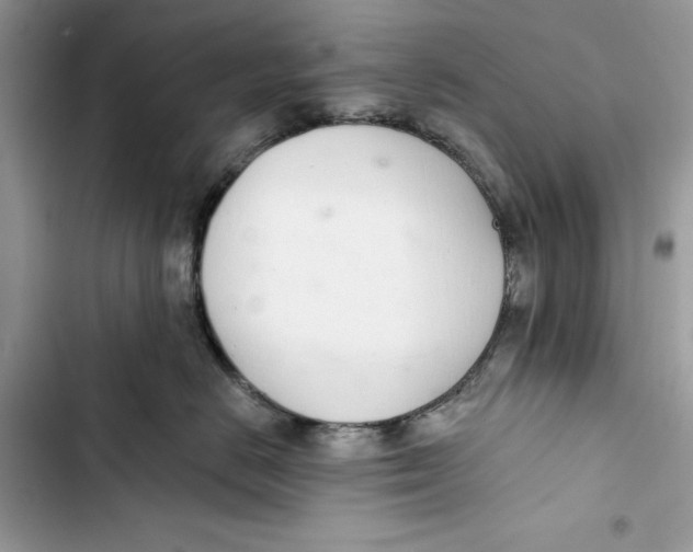 X0000103400670200810031226