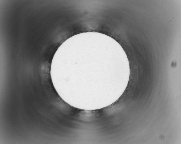 X0000103400672200810031226