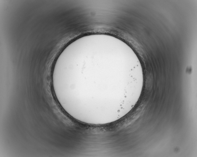 X0000103400673200810031225