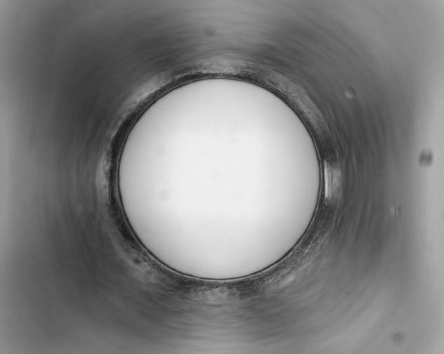 X0000103400675200810031225