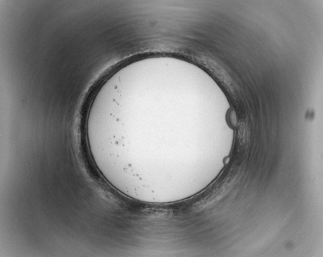 X0000103400676200810031225