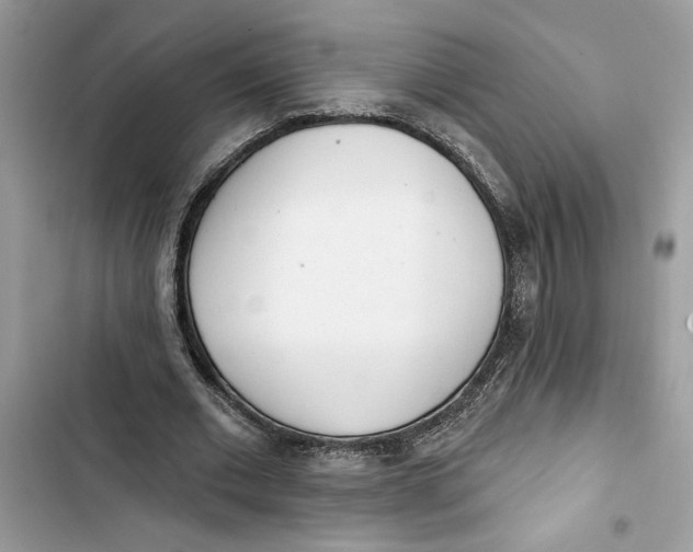 X0000103400677200810031225