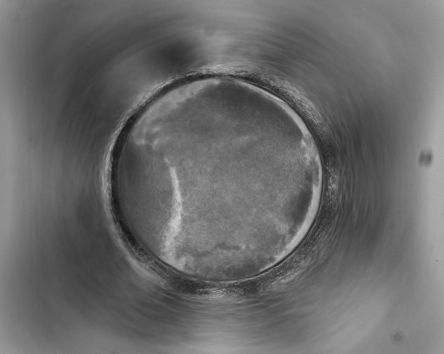 X0000103400678200810031225