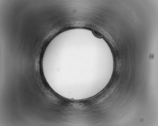 X0000103400681200810031225