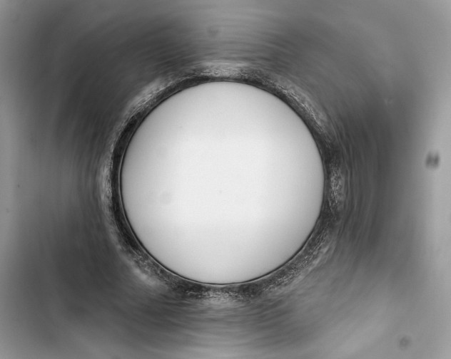 X0000103400682200810031225