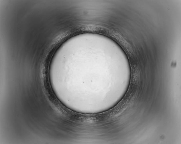 X0000103400683200810031225