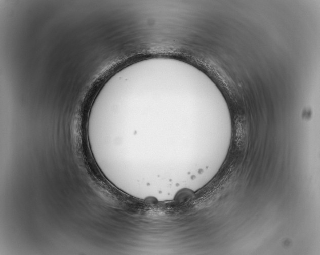 X0000103400684200810031225