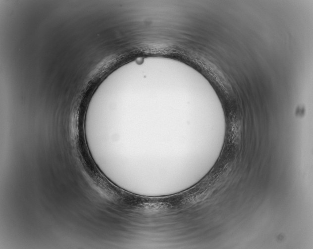 X0000103400686200810031225