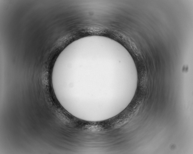 X0000103400689200810031225