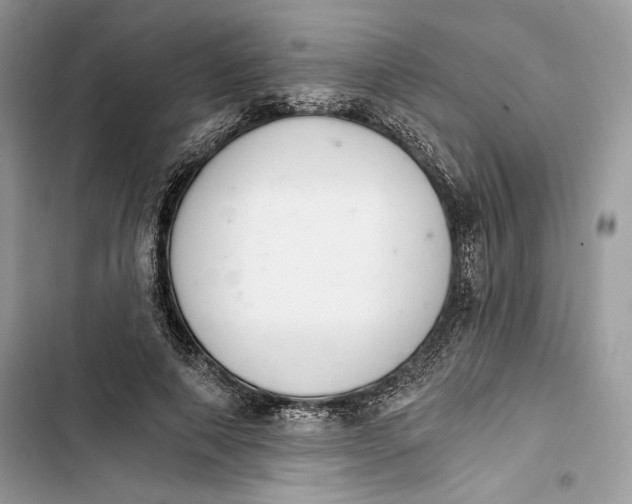 X0000103400690200810031225