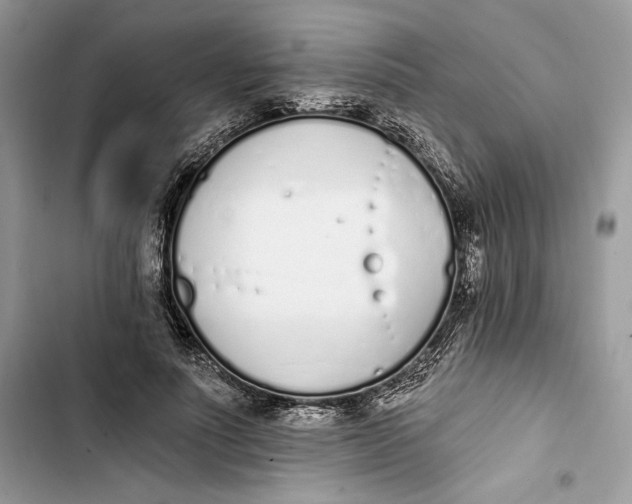 X0000103400691200810031225