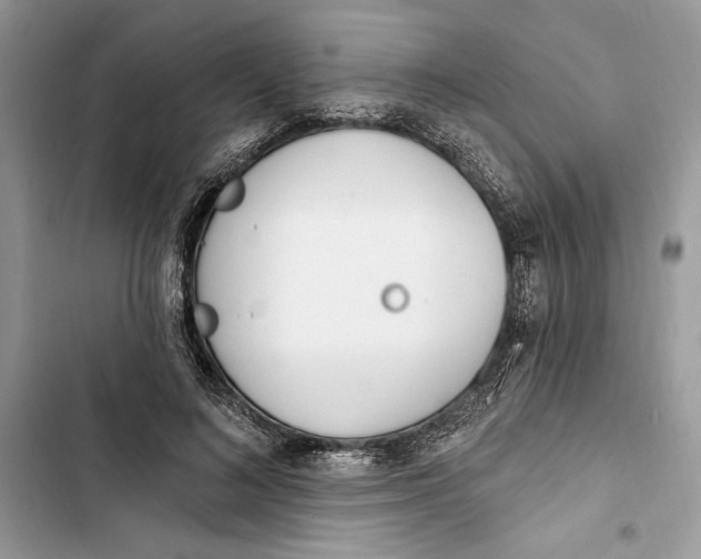 X0000103400692200810031225