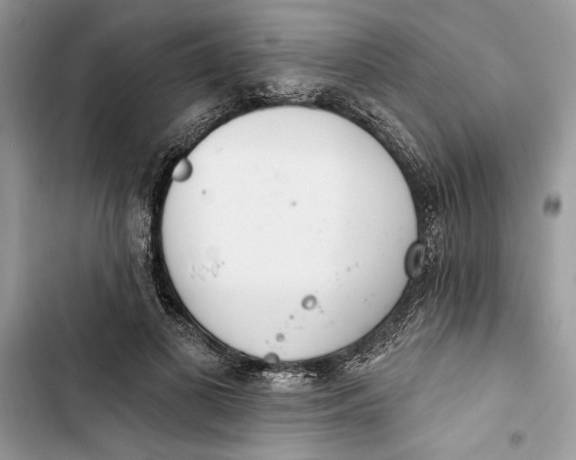 X0000103400693200810031225