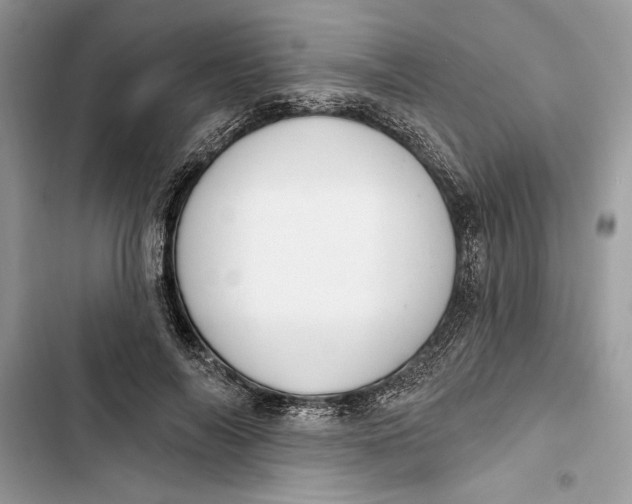 X0000103400694200810031225