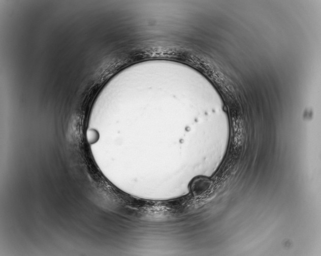 X0000103400695200810031225