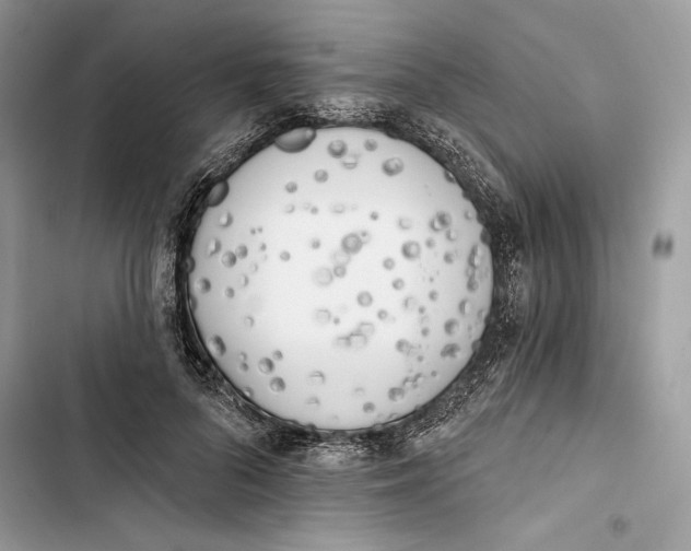 X0000103400696200810031225