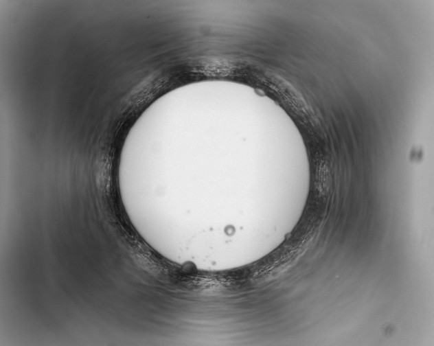 X0000103400697200810031225