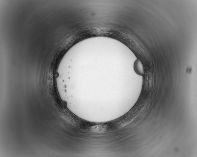 X0000103400700200810031225