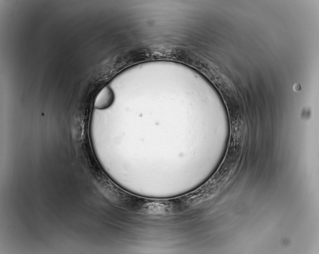 X0000103400703200810031225