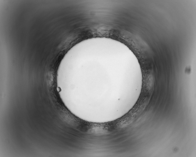 X0000103400709200810031224