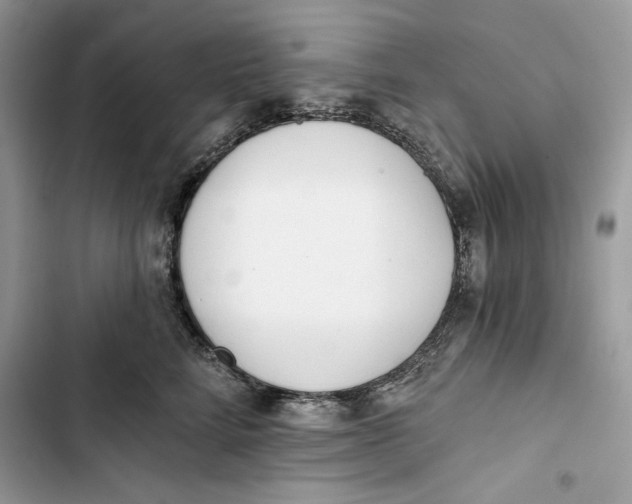 X0000103400712200810031224