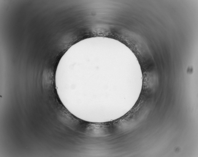 X0000103400713200810031224