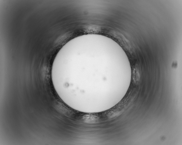 X0000103400714200810031224