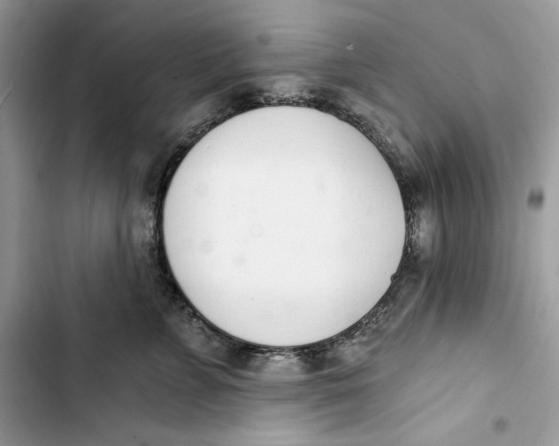 X0000103400715200810031224