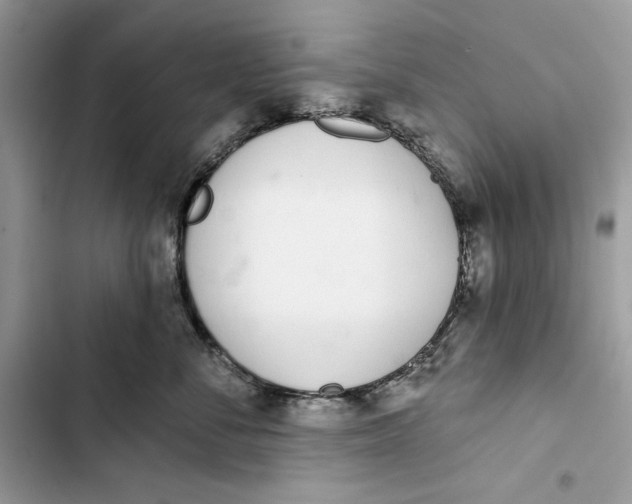 X0000103400716200810031224