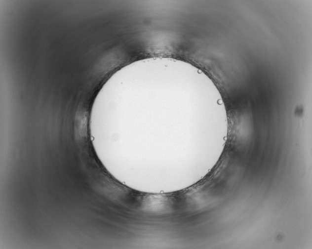 X0000103400717200810031224