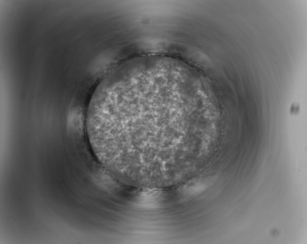 X0000103400720200810031224