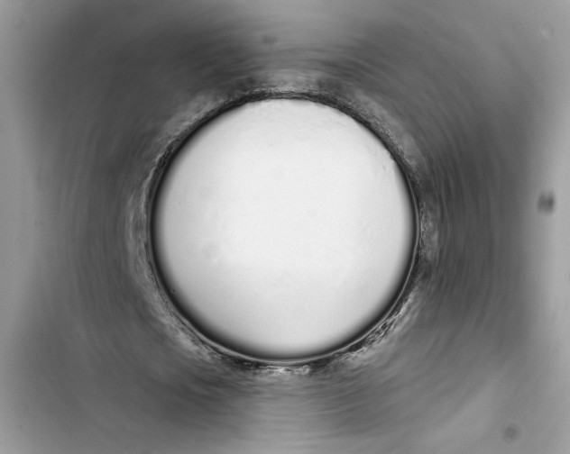 X0000103400721200810031224