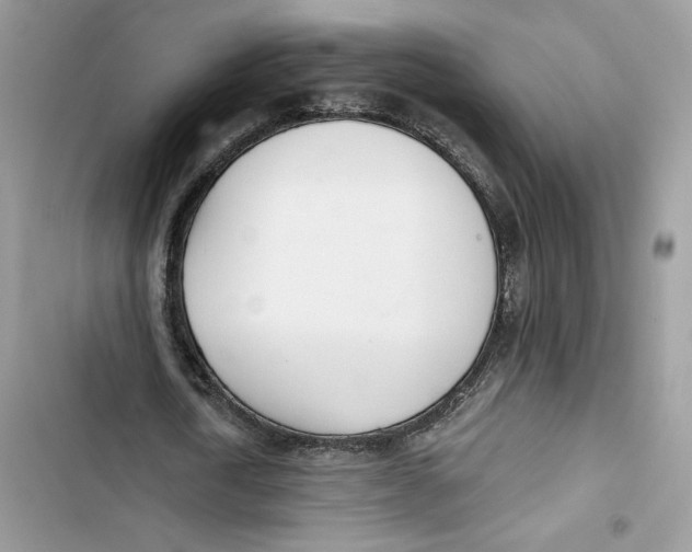 X0000103400722200810031224