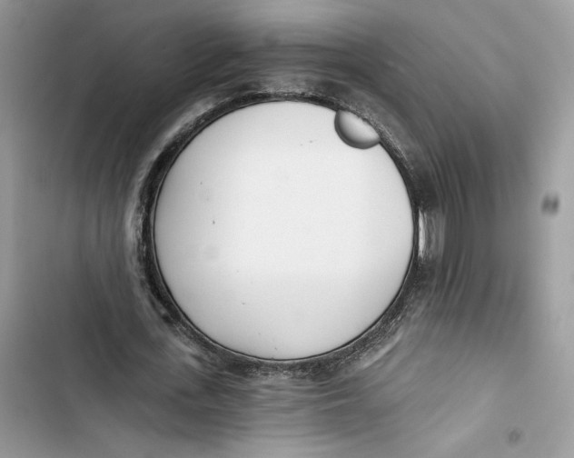 X0000103400723200810031224