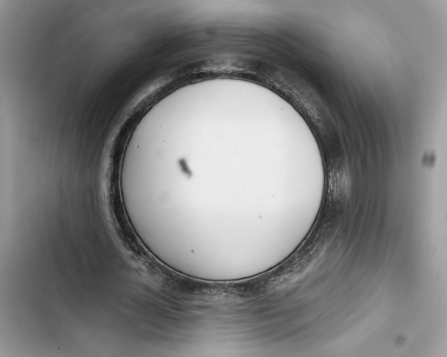 X0000103400724200810031224