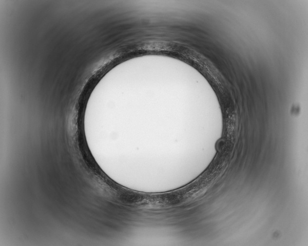 X0000103400727200810031224